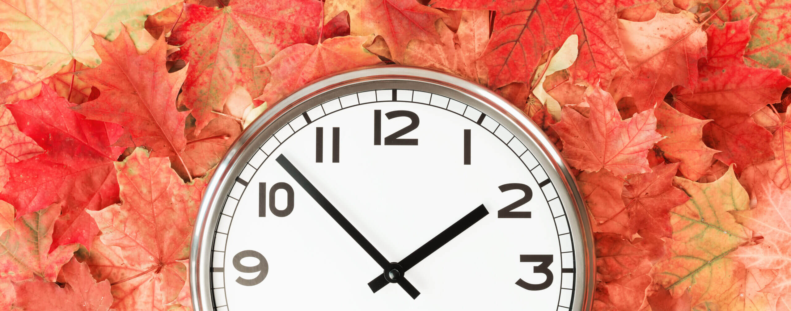 Daylight Savings Time: “Fall Back” Causes More Accidents?
