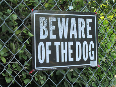 Dog Bites – When to File a Lawsuit