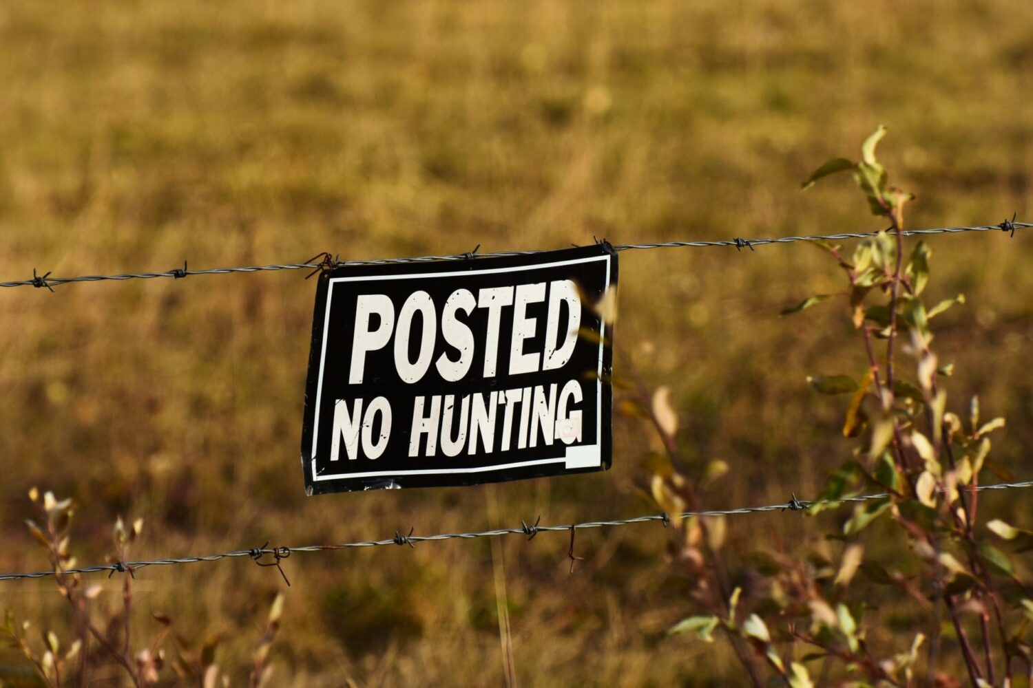 posted no hunting