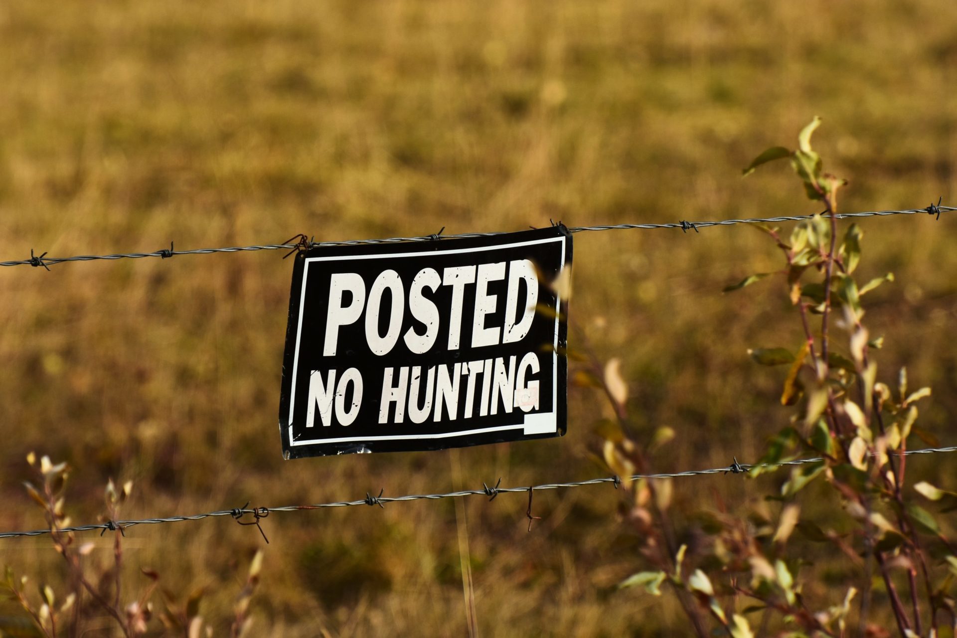 posted no hunting