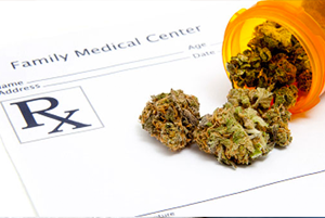 medical marijuana law